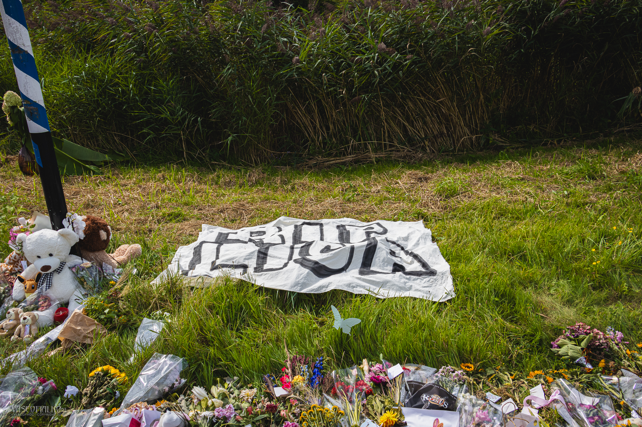 R.I.P. Lisa (17) uit Abcoude